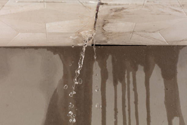 Professional Water Damage Repair technician working in Dazey, ND